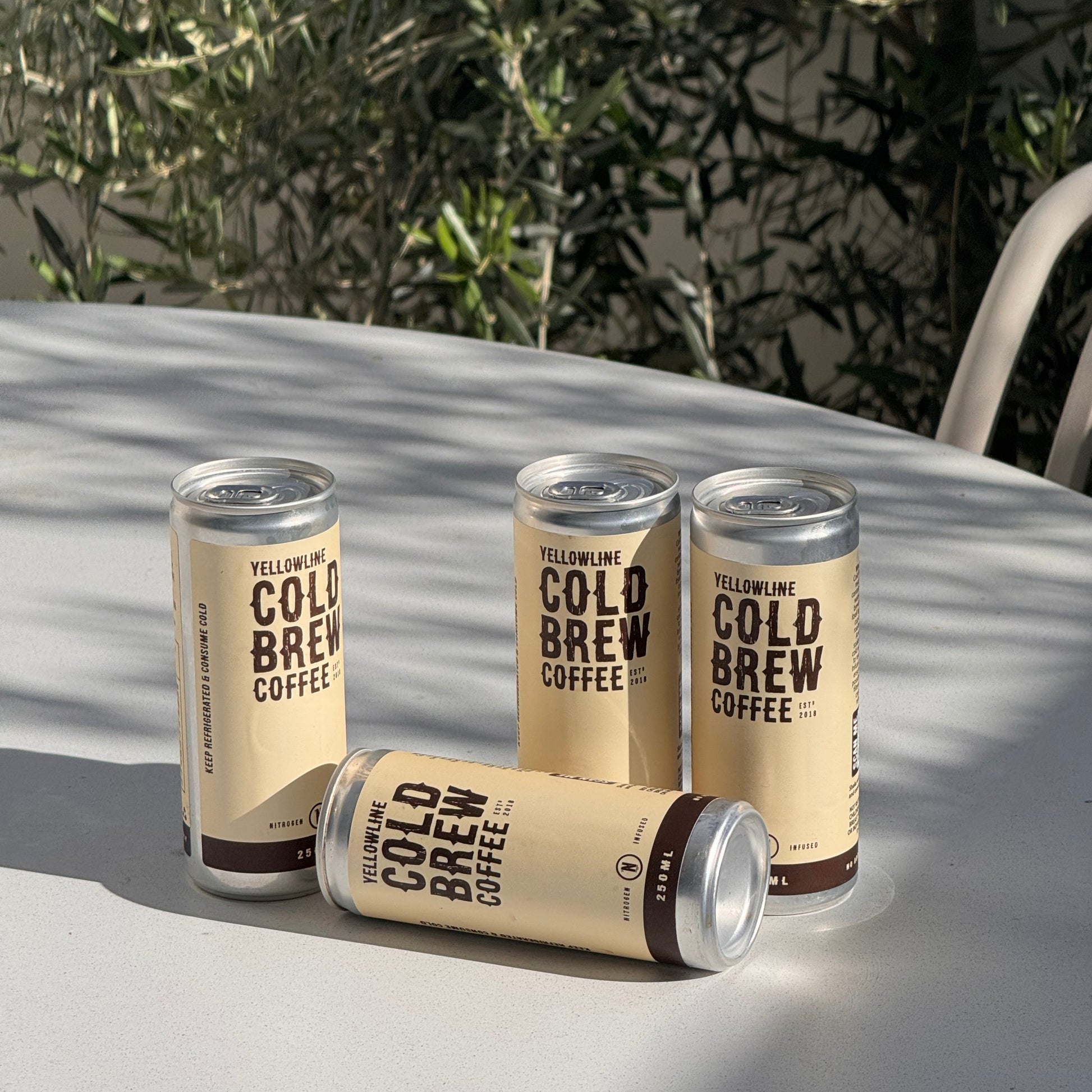 Four cans of Cold Brew Coffee on a metal surface with greenery in the background.